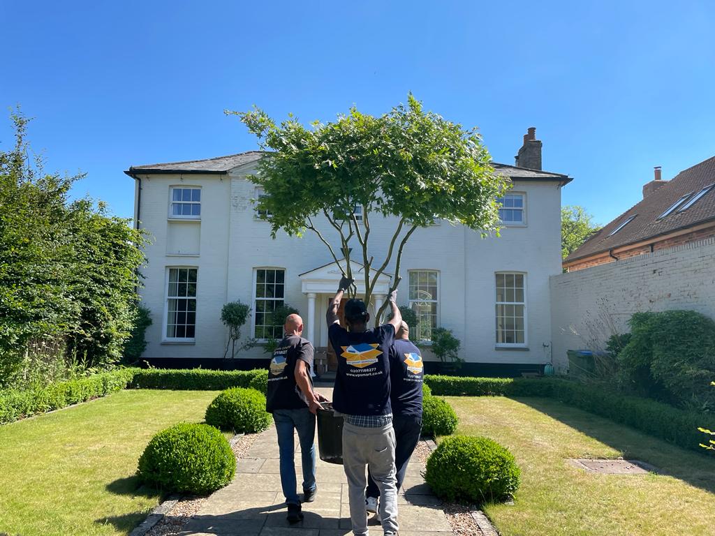 London big house removalists carrying tree down a pathway