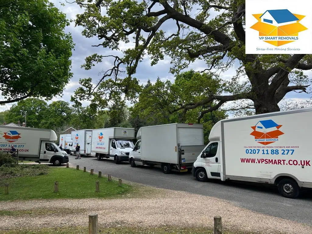 VP Smart Removals