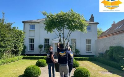 Stress Free Moving Services