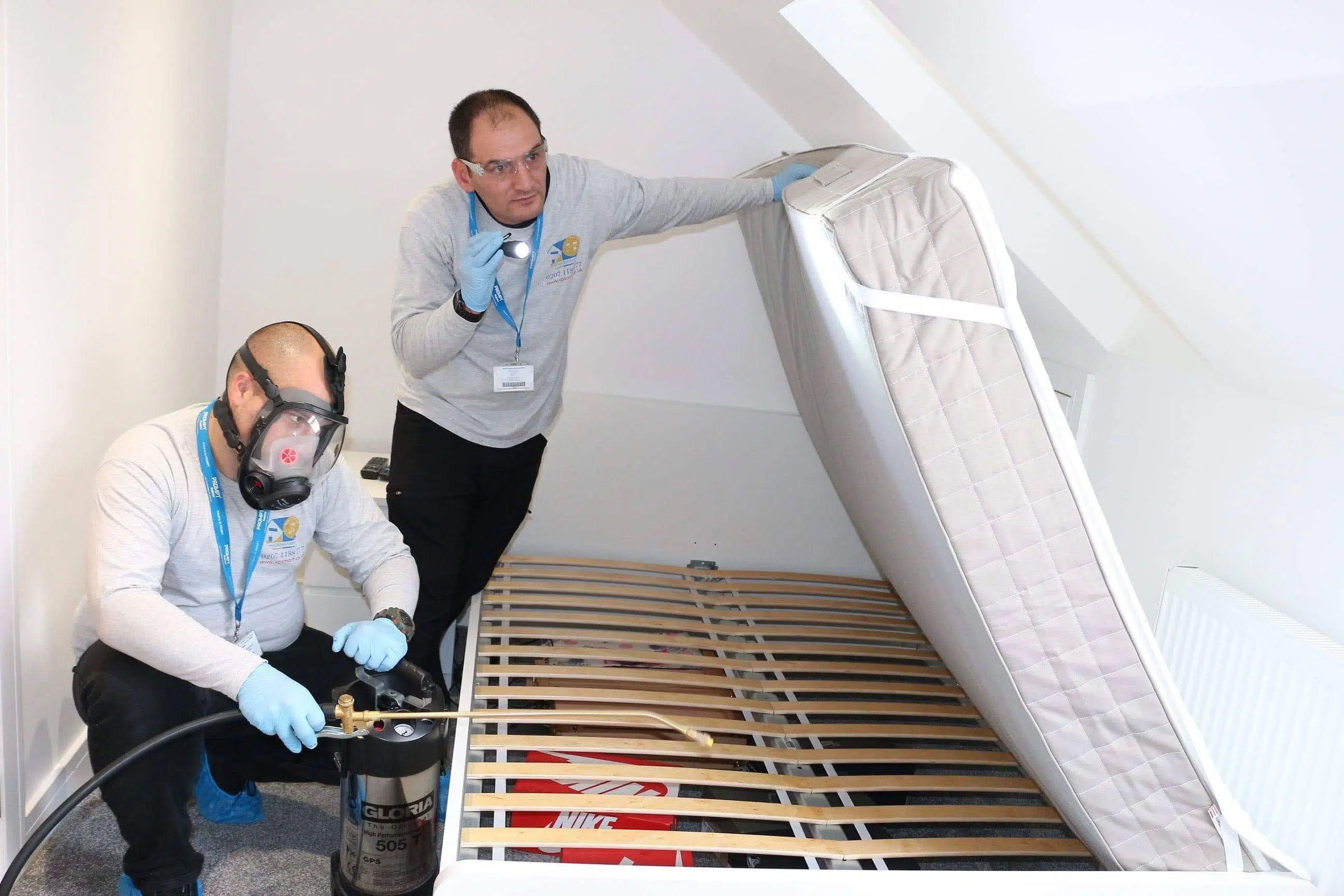 Pest Control pest control